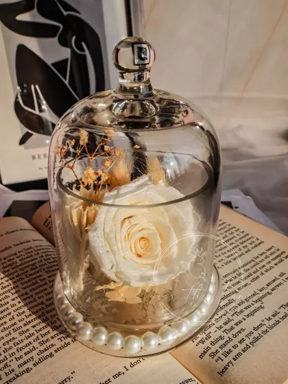 Another shot of the elegant white Eternal Rose.