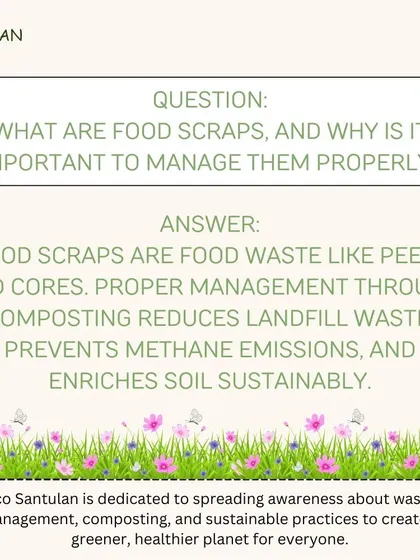 This post answers a fundamental question: what are food scraps and why is managing them important? Composting reduces landfill waste, prevents methane emissions, and enriches our soil.