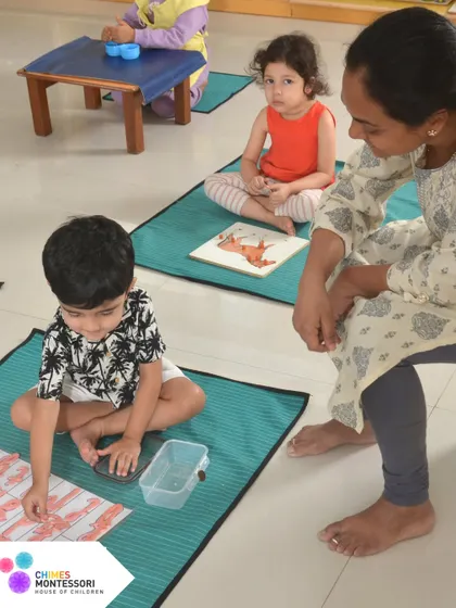 In our environment, children don't wait to be told what to do. They choose their work, which fosters deep concentration and a love for the learning process. This is the magic of self-directed, explorative learning.