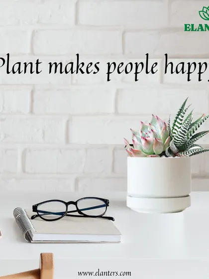 Reason 4: Plants make people happy. It's a simple fact that being around greenery can boost your mood and create a more positive environment.