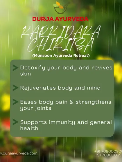 This graphic summarizes the key outcomes of Karkidaka Chikitsa. The treatments are designed to detoxify your body, rejuvenate your mind, ease body pain, and support overall immunity.