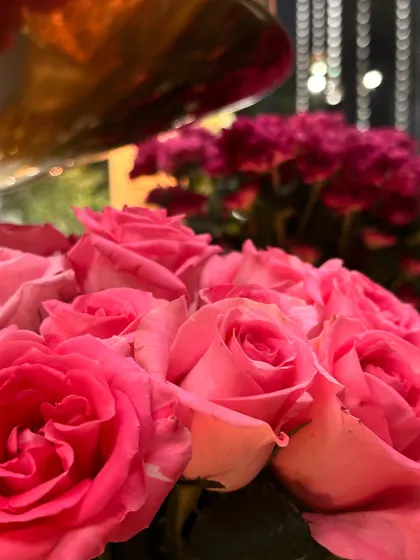 A macro shot of beautiful pink roses, highlighting the quality and freshness of our floral selections.