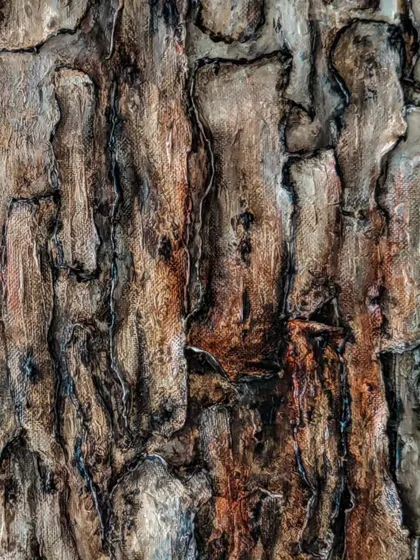 Another close-up of the tree trunk texture. Amidst the roughness, there's a quiet beauty and an inspiring strength that speaks to me.