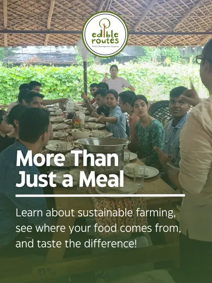 A group of guests engaged in a discussion during a farm lunch. Our events are designed to be interactive, encouraging conversations about sustainable farming, healthy eating, and community.