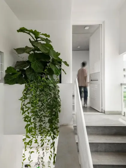 The staircase and upper corridor are designed with simplicity and function in mind. A planter box at the top of the stairs brings a touch of green into the circulation space, which is a recurring theme in our work.