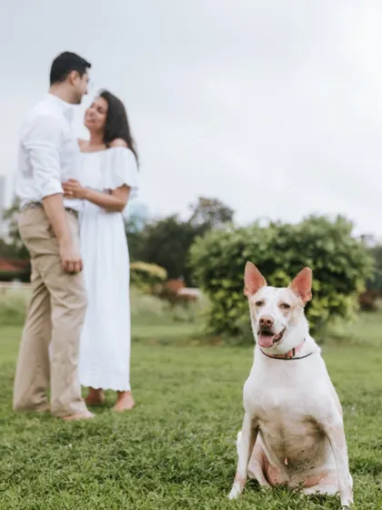 A creative shot that puts the family dog front and center, with his loving owners in the background. It’s a fun way to show the pet is a cherished member of the family.