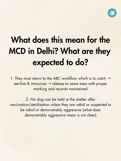 What does the Supreme Court ruling mean in practice? This graphic breaks down the expected actions for the MCD in Delhi, clarifying that they must return to the standard ABC workflow and cannot hold healthy dogs in shelters.