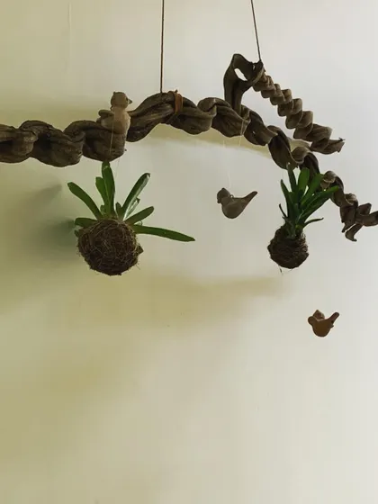 I designed this hanging wall art to be a living sculpture. It features two Kokedama moss balls, each with a hardy, air-loving plant, suspended from a piece of twisted driftwood. The little bird figures add a touch of whimsy, making this a unique piece of vertical garden decor for any empty wall.