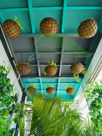 Looking up into a corridor filled with greenery. We used a combination of hanging baskets, climbing ivy on the walls, and a green-painted ceiling grid to create a fully immersive natural experience from every angle.
