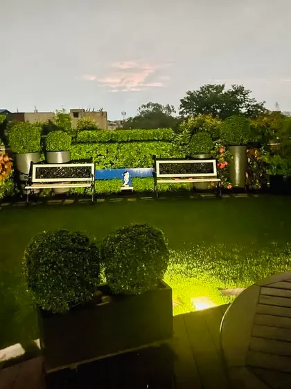 A view of my terrace garden at night. The strategic use of landscape lighting highlights the sculpted topiaries and the two white benches, creating a magical and inviting atmosphere against the dark sky.