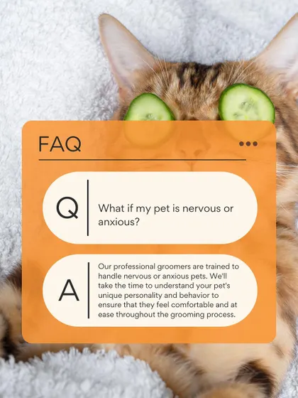 What if my pet is nervous? My professional groomers are trained to handle anxious pets, including cats, ensuring they feel comfortable and at ease.