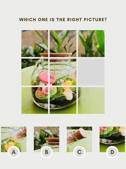 Something's missing from this terrarium puzzle. Can you guess which piece fits? Our terrariums are fun to look at and even more fun to have.