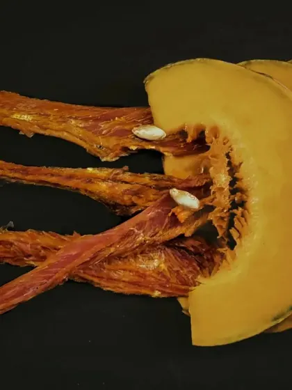 Our Pumpkin & Chicken Jerky is a great choice for sensitive stomachs. Pumpkin is well known for supporting healthy digestion, making this a delicious and functional treat for your companion.