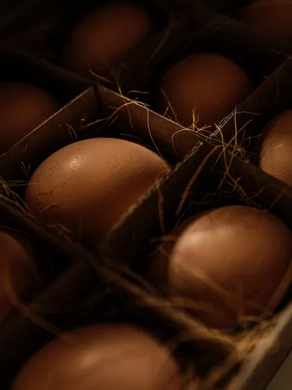 A very dark and moody shot of the eggs, where light just grazes their surface, creating a sense of mystery.