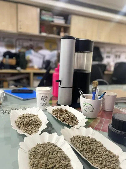 Our training space set up for a green bean analysis session, with various samples and tools for evaluation.