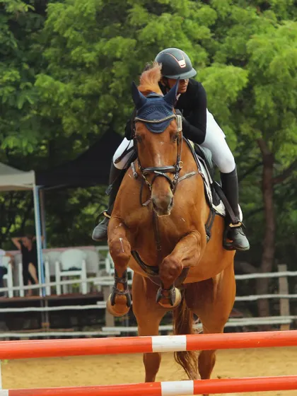 A focused shot of a rider and horse in perfect form over a jump at the Auroville Horse Show. This demonstrates the skill and concentration I teach my competition team.