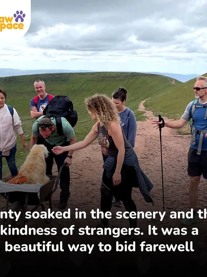 Along their journey, Monty was met with kindness from strangers, showing how the love for an animal can bring people together.