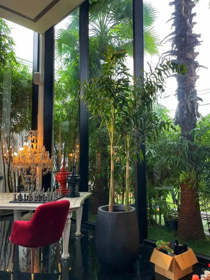 A beautiful shot of the set, featuring one of our tall Fishtail Palms in a black textured planter. The plant adds a touch of natural elegance to the luxurious interior.