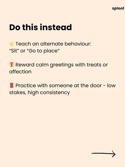 Instead of yelling, do this. We provide clear, actionable steps like teaching an alternate behavior ("sit") and rewarding calm greetings. Positive reinforcement is the key to changing behavior.