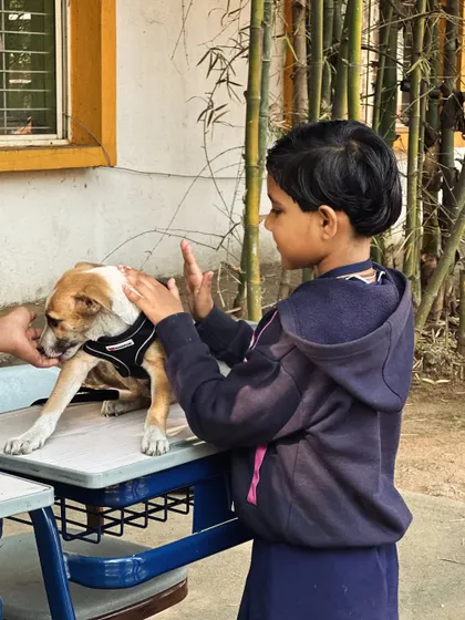 A young girl gently petting a rescue dog at our school adoption drive. It's heartwarming to see such natural kindness and empathy.