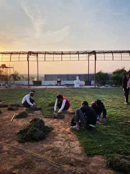 Our team laying down natural grass turf at a large marriage hall at sunset, working diligently to meet project deadlines.