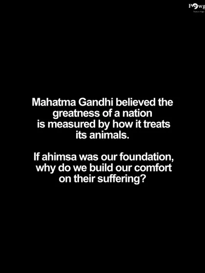We invoke Mahatma Gandhi's belief that a nation's greatness is measured by how it treats its animals, questioning why a culture founded on 'ahimsa' builds comfort on their suffering.