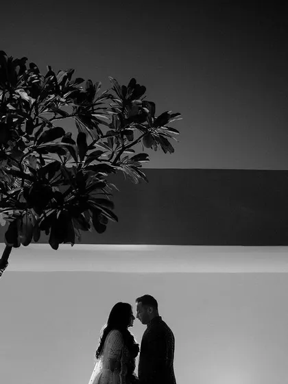 A minimalist black and white silhouette under a tree at night. This artistic shot is simple, powerful, and full of emotion.