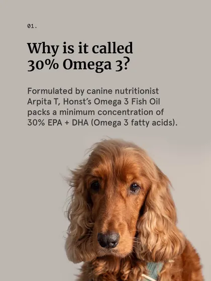 Our 30% Omega 3 fish oil is named for its high concentration of essential fatty acids. Formulated by a canine nutritionist, it packs a minimum of 30% EPA + DHA, ensuring potent health benefits.