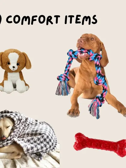 Familiar comfort items like a favorite toy, blanket, or bed can significantly reduce anxiety and help your pet feel more secure in a new environment.