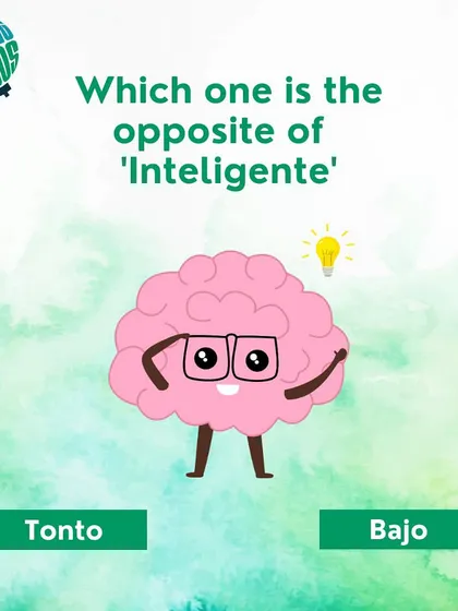 What is the opposite of 'inteligente' (intelligent)? Is it 'tonto' or 'bajo'? Test your knowledge of Spanish adjectives.