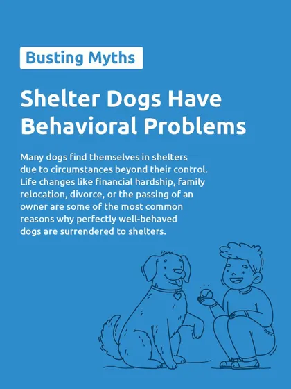 Let's bust a common myth: that shelter dogs have behavioral problems. Most dogs end up in shelters due to circumstances beyond their control, like a family moving or a financial hardship. They are just as loving and deserving as any other pet.
