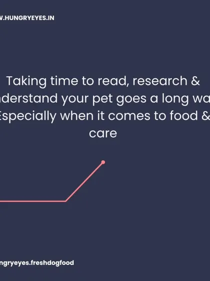 Taking the time to read, research, and understand your pet goes a long way. We provide the resources to help you make informed choices about their food and care.