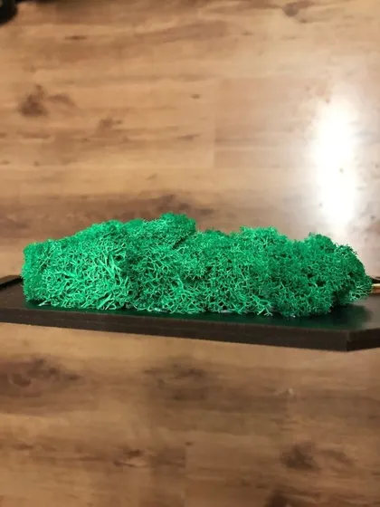 This side view of a moss art piece shows the thickness and lush, three-dimensional quality of the preserved moss.