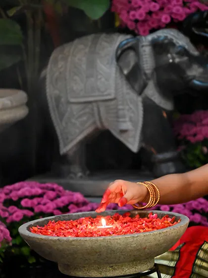 A moment from our Diwali celebration at the store. Come celebrate with us, sip on homemade natti coffee, and let my furry staff, Scooby & Subbi, show you around our festive collection.