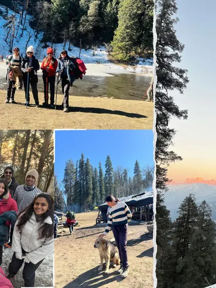 It's all about the journey. This collage shows various moments from the Kedarkantha trek, from walking past a frozen lake to making friends with the local Himalayan dogs.