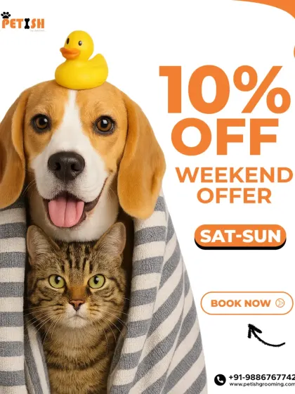 My 10% off weekend offer is for both dogs and cats. Give your furry friends a spa day and save at the same time.