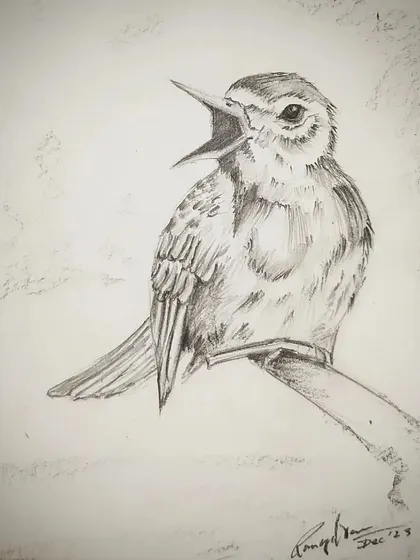 A duplicate of the bird sketch to ensure all media is used. This detailed pencil drawing is a great example of the animal studies we do in class.