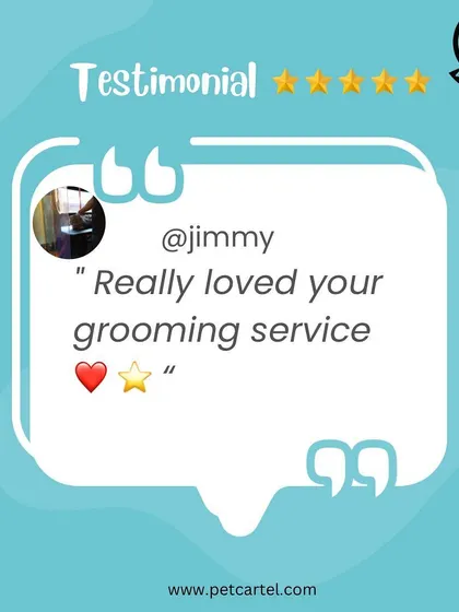 "Really loved your grooming service." Simple, powerful feedback from a happy customer that makes our day. We strive to provide a 5-star experience every time.