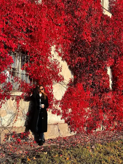 I found this incredible wall of red ivy while traveling in Poland. Nature is sometimes the most beautiful backdrop.