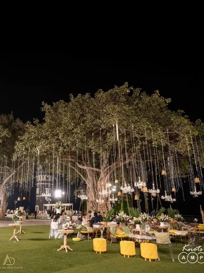 The magnificent banyan tree at the venue, adorned with countless hanging chandeliers and fairy lights, creating a truly magical and grand ambiance for the evening.