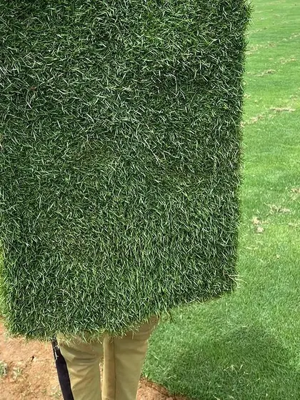 A worker holding up a large, thick mat of pure Mexican grass, demonstrating the quality of the turf I provide.