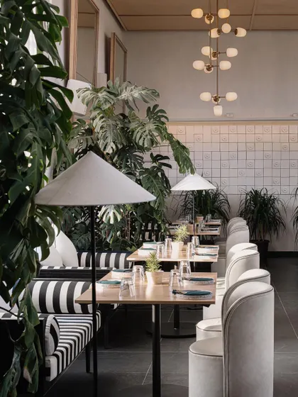 The seating along the wall at Brassa combines striped banquettes with clean, modern chairs. The space is filled with lush monstera plants, enhancing the restaurant's fresh, botanical theme.
