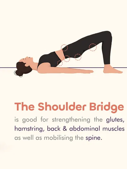 This illustration of the shoulder bridge highlights the key muscles engaged. By strengthening your glutes and hamstrings, you create better support for your lower back, which can help alleviate pain and discomfort.