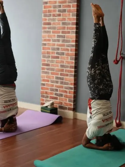Two students hold steady in their headstands, demonstrating the strength and stability they've built through consistent practice.
