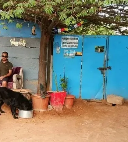 A quiet moment at the entrance of Wagg City. This is our front gate, where the family hangs out. It’s a simple, rustic setup that’s all about the animals.