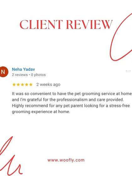 "Convenient, professional, and stress-free" is the goal for every appointment. I'm happy to provide a service that pet parents can highly recommend.