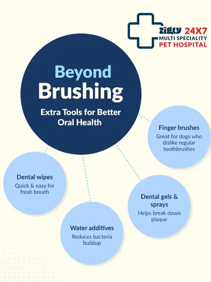 Beyond brushing, there are other tools to improve oral health. This guide covers dental wipes, water additives, and finger brushes for dogs who dislike regular toothbrushes.