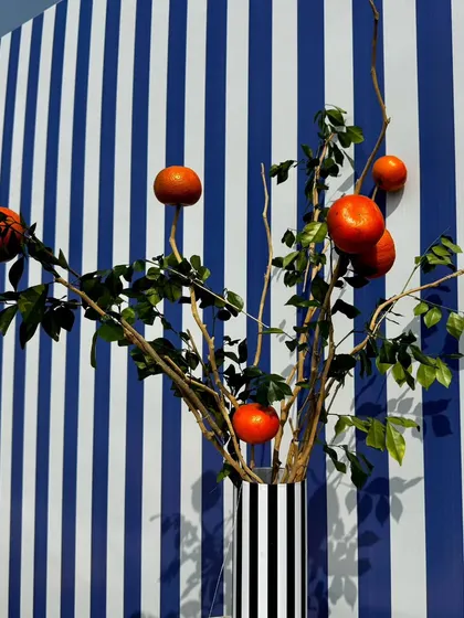 From concept to execution in just 42 hours. This St. Tropez inspired decor in Ahmedabad involved transforming a bungalow with custom-painted walls, fruit-based installations, and unique props, all on a tight deadline.