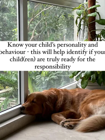 Knowing your child's personality is key. Are they gentle and calm, or boisterous and energetic? This will help you determine if they are truly ready for the responsibility of a dog.