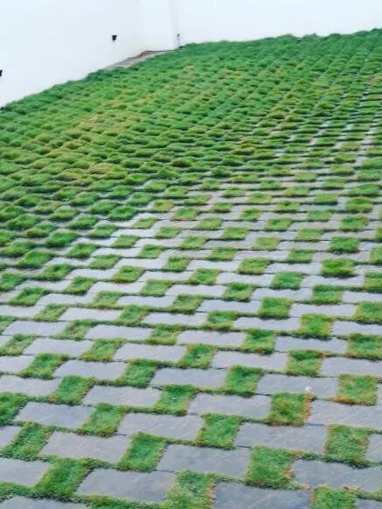 This permeable paver design with grass growing through it is perfect for driveways and parking areas. It's durable, eco-friendly, and visually interesting.